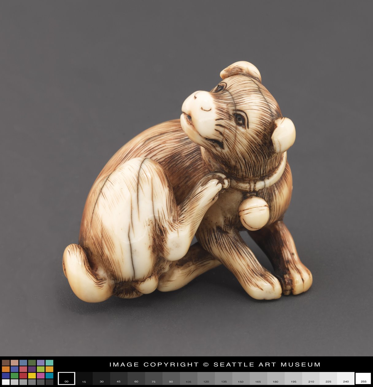 Netsuke modelliert als Hund, der sich am Hals kratzt von Japanese School