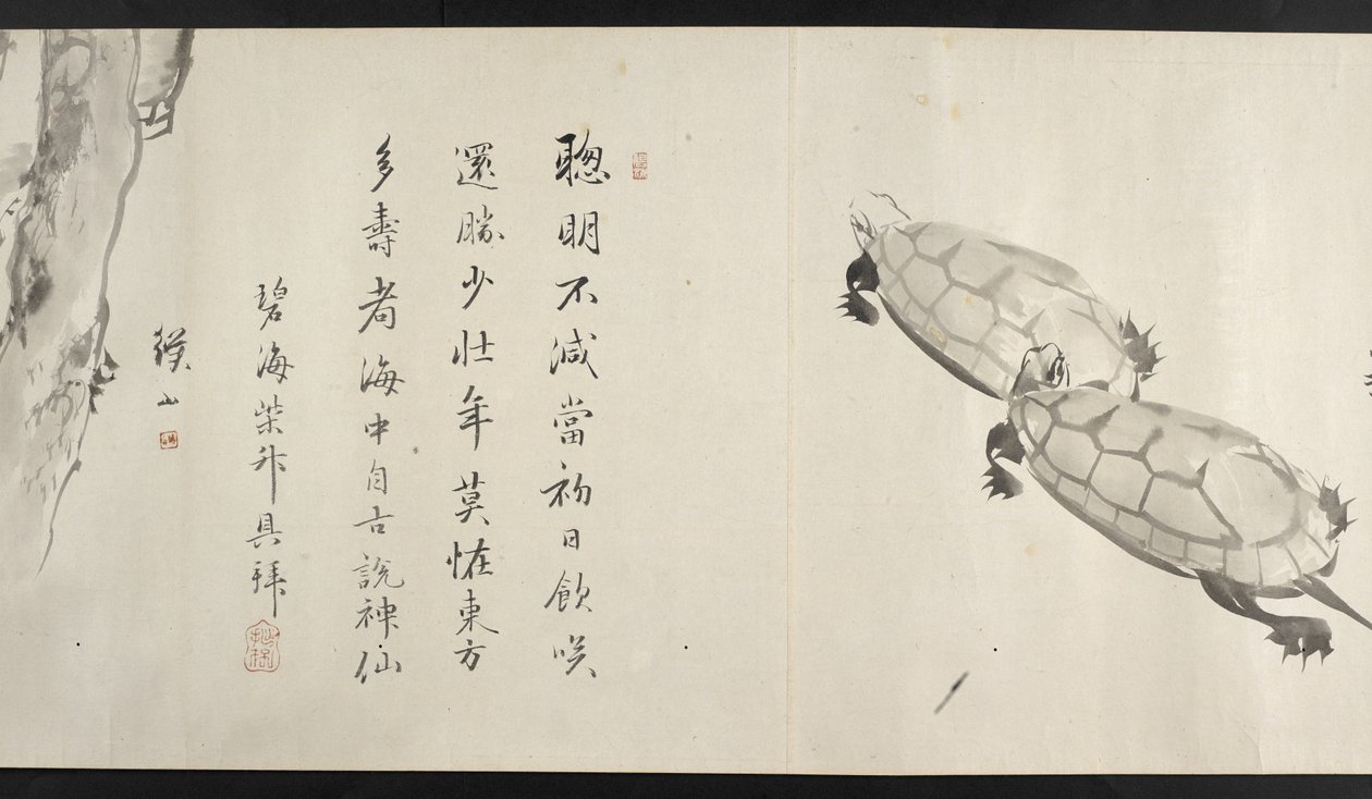 Zwei Schildkröten, aus Yoshida Seisai von Japanese School