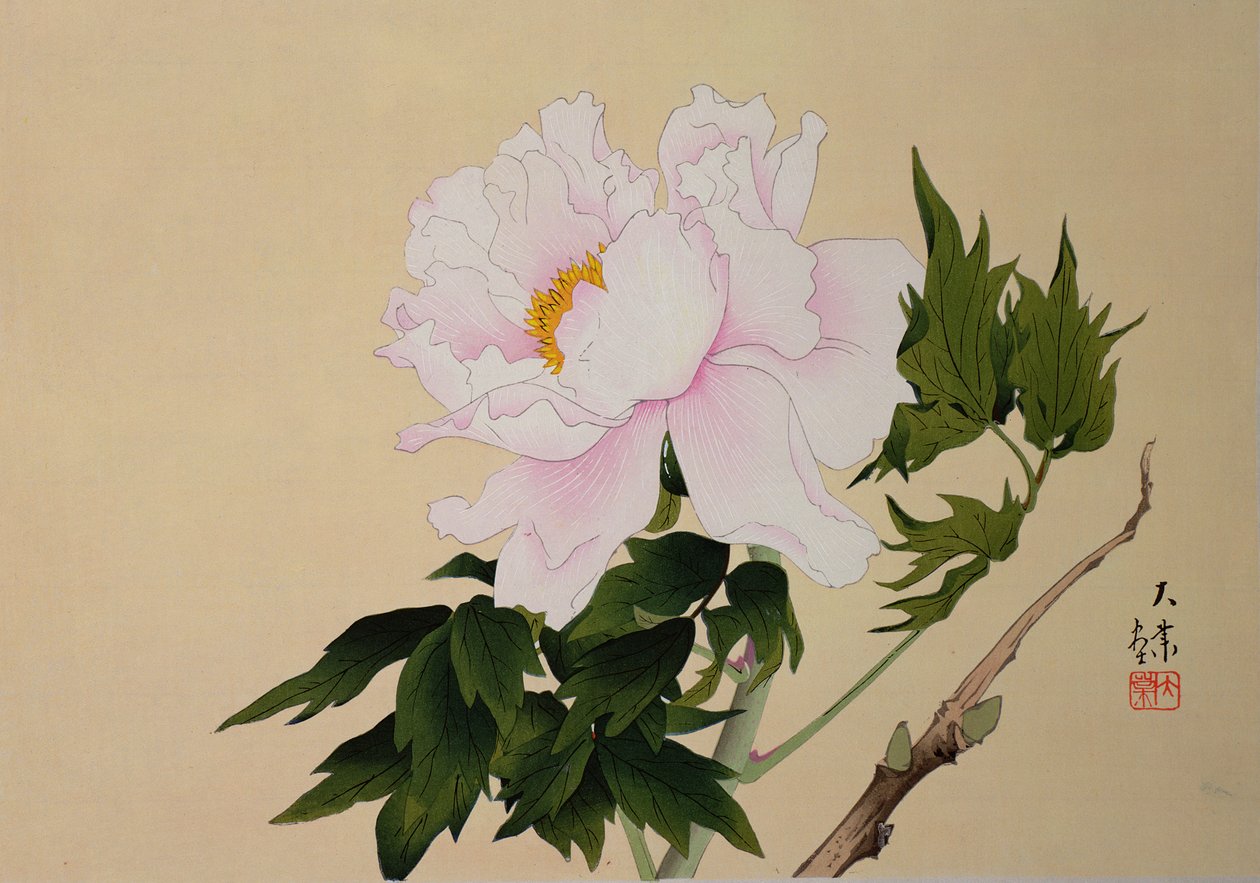 Pfingstrose, veröffentlicht 1950 von Japanese School