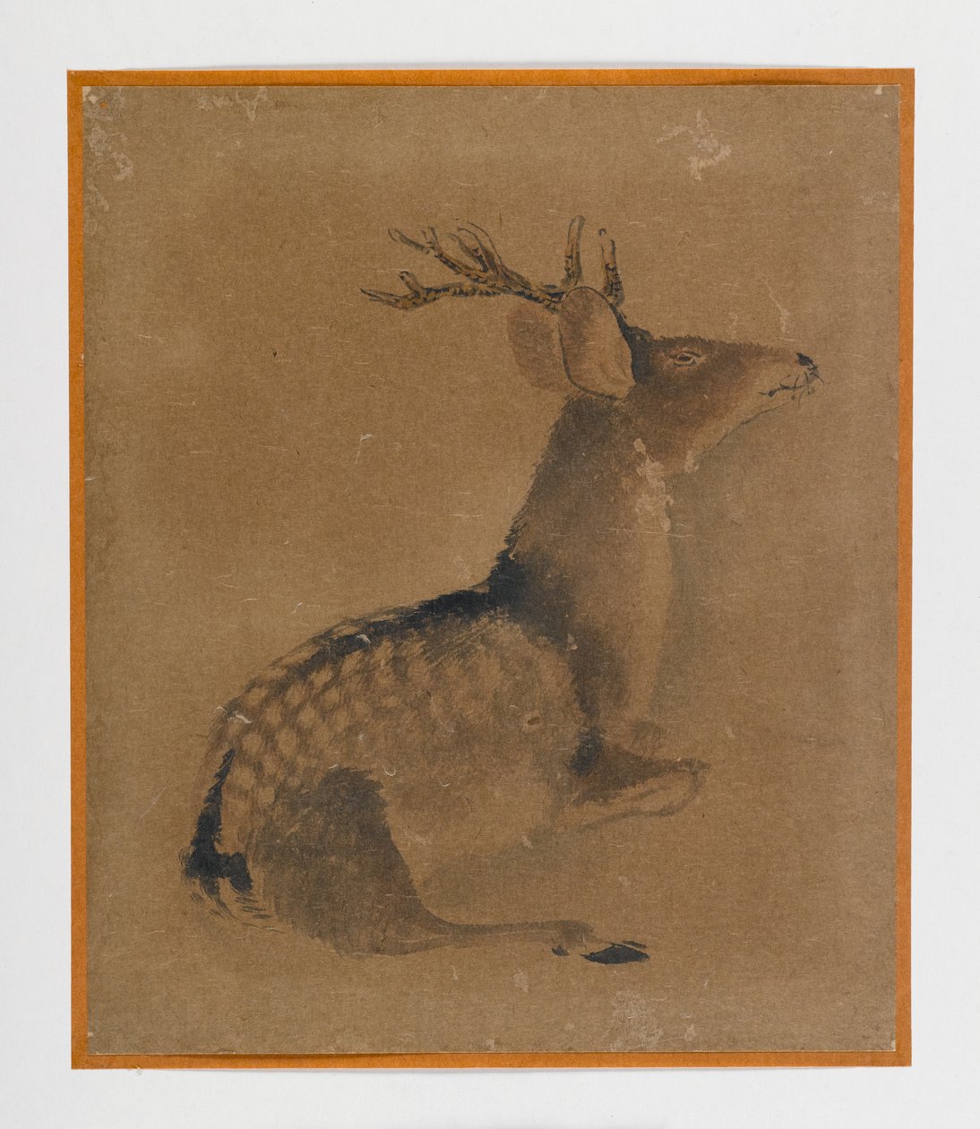 Liegender Hirsch von Japanese School