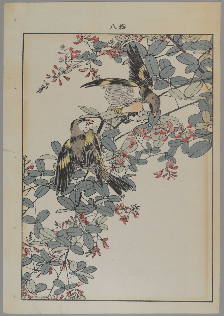 Zwei Vögel mit rosa Blumen, Meiji-Periode, ca. 1868-1912 von Japanese School