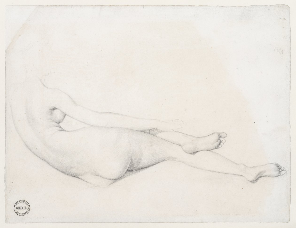 Studie für La Grande Odalisque von Jean Auguste Dominique Ingres