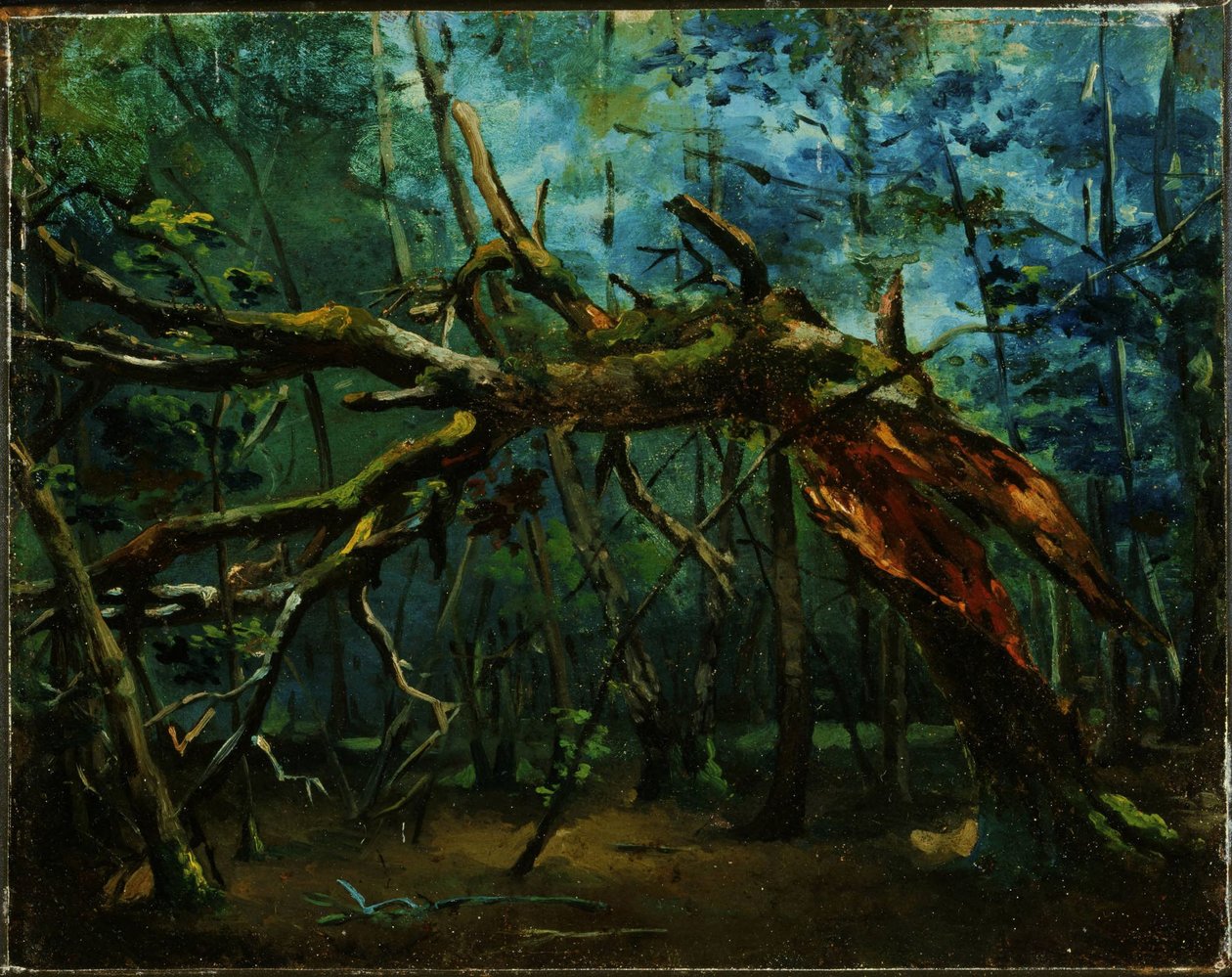 Ein umgestürzter Baum von Jean-Baptiste-Camille Corot