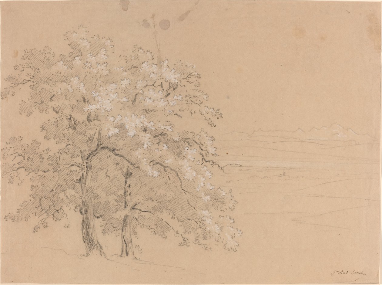 Sonnenbeschienene Bäume vor einer Panoramalandschaft von Jean Antoine Linck