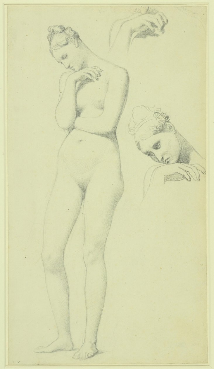 Studien für die Figur der Stratonike, um 1834-40 von Jean Auguste Dominique Ingres