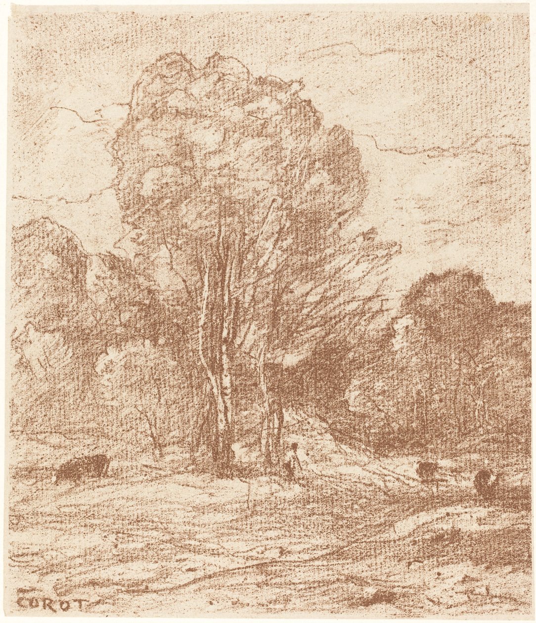 Dösende Kühe (Le Dormoir des vaches) von Jean Baptiste Camille Corot