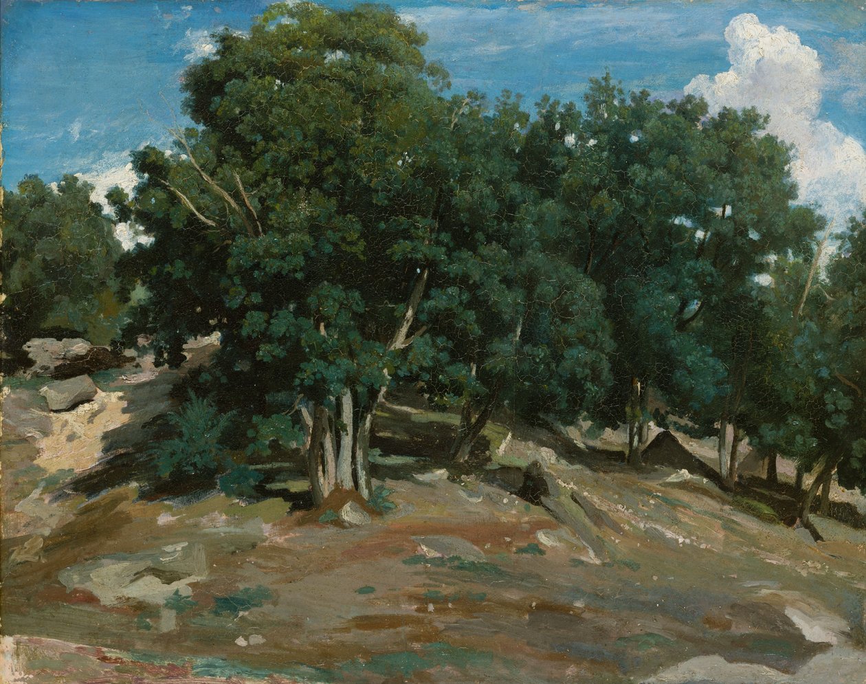 Fontainebleau: Eichen bei Bas-Bréau, 1832-3 von Jean Baptiste Camille Corot