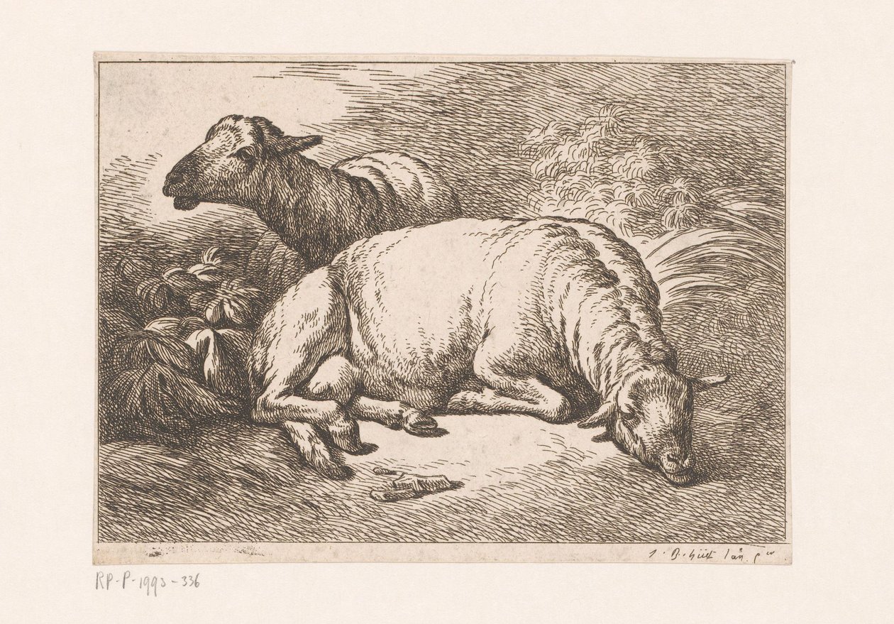 Zwei Schafe (Serie: Verschiedene Darstellungen von Huet, Cahiers d