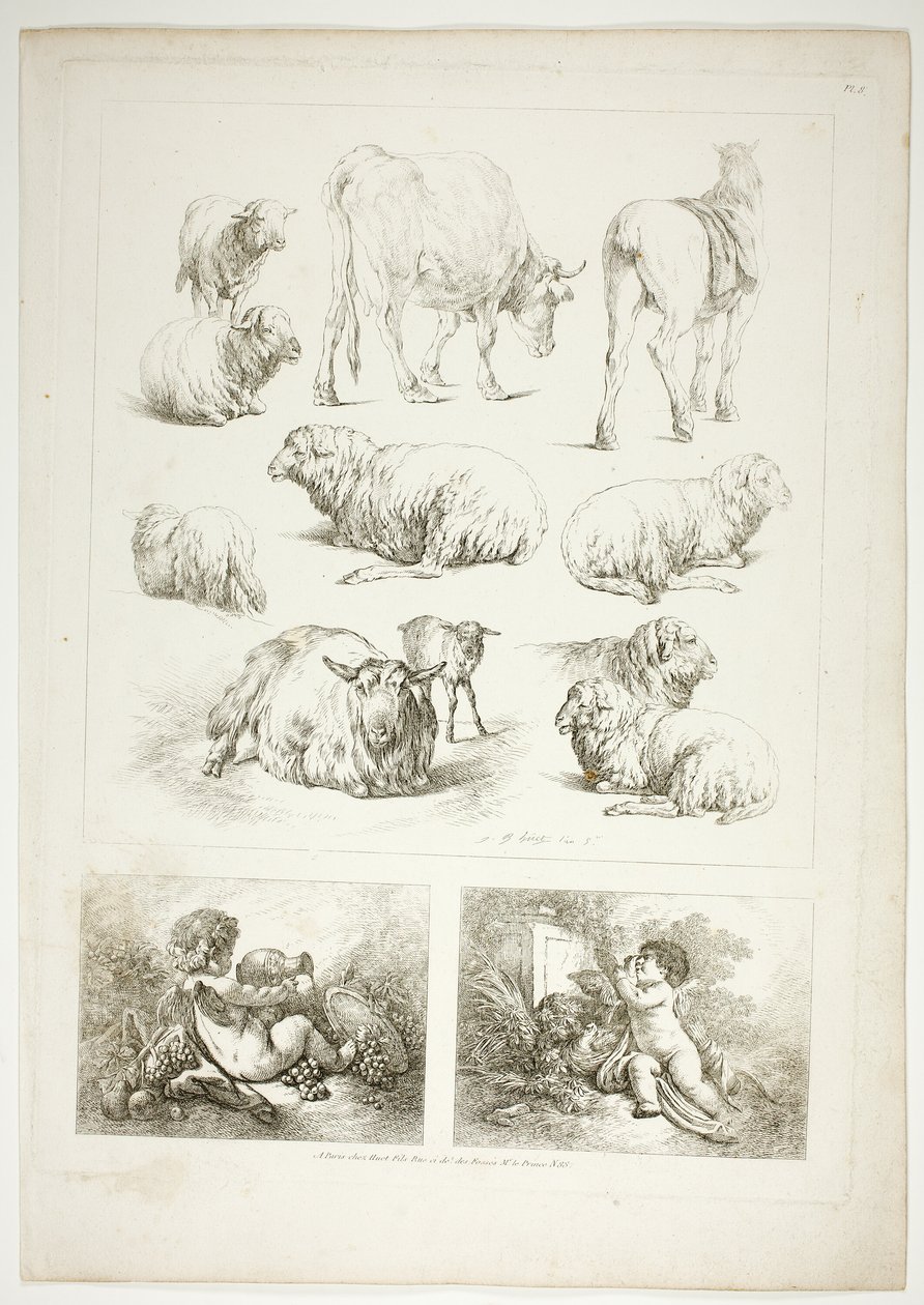 Tafel Acht von 38 aus Oeuvres de J. B. Huet von Jean Baptiste Huet