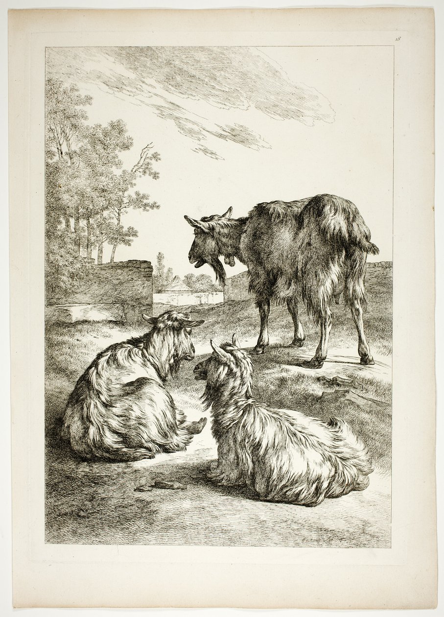 Platte Achtzehn von 38 aus Oeuvres de J. B. Huet von Jean Baptiste Huet