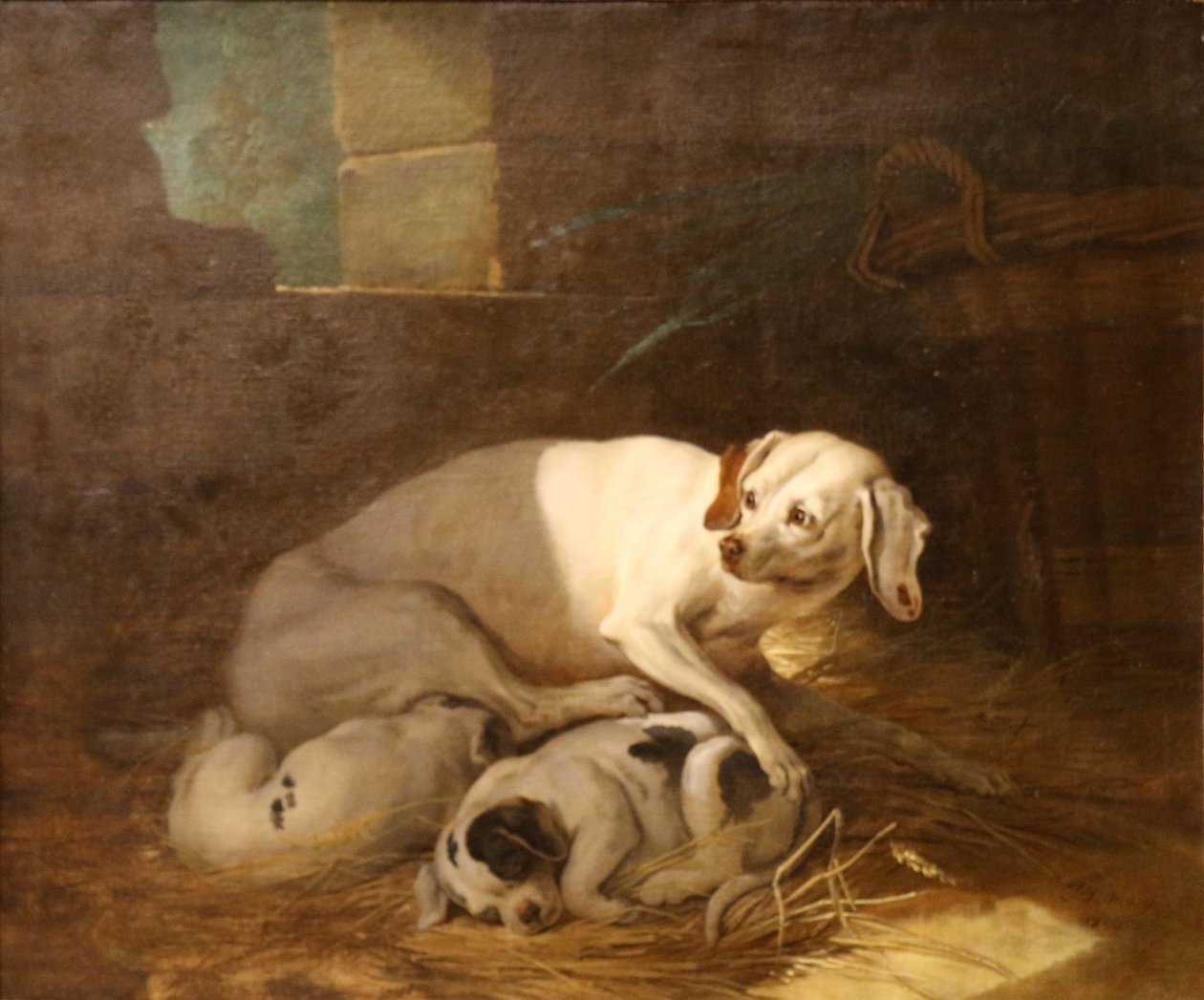 Hündin, die ihre Jungen säugt von Jean Baptiste Oudry