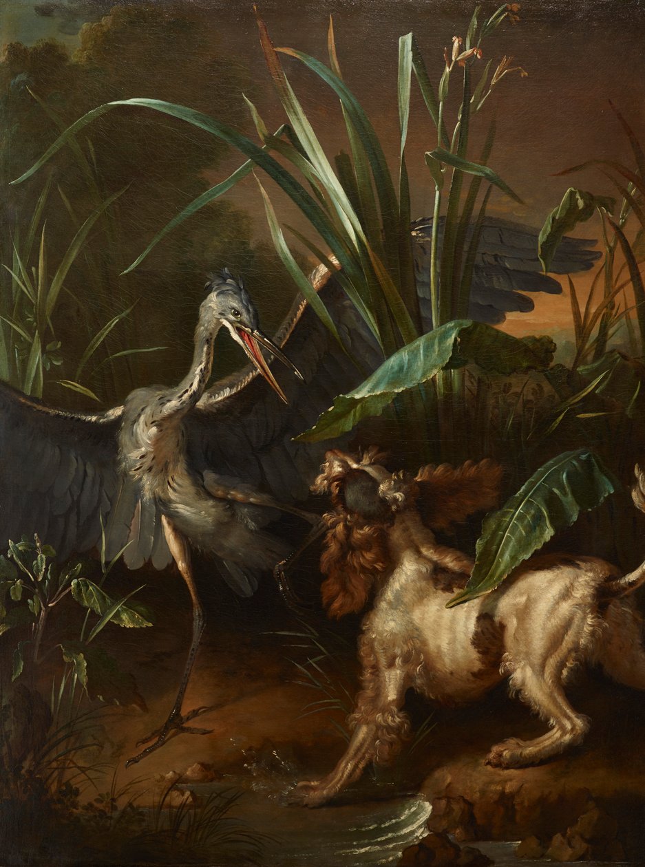 Wasserhund konfrontiert einen Reiher von Jean Baptiste Oudry