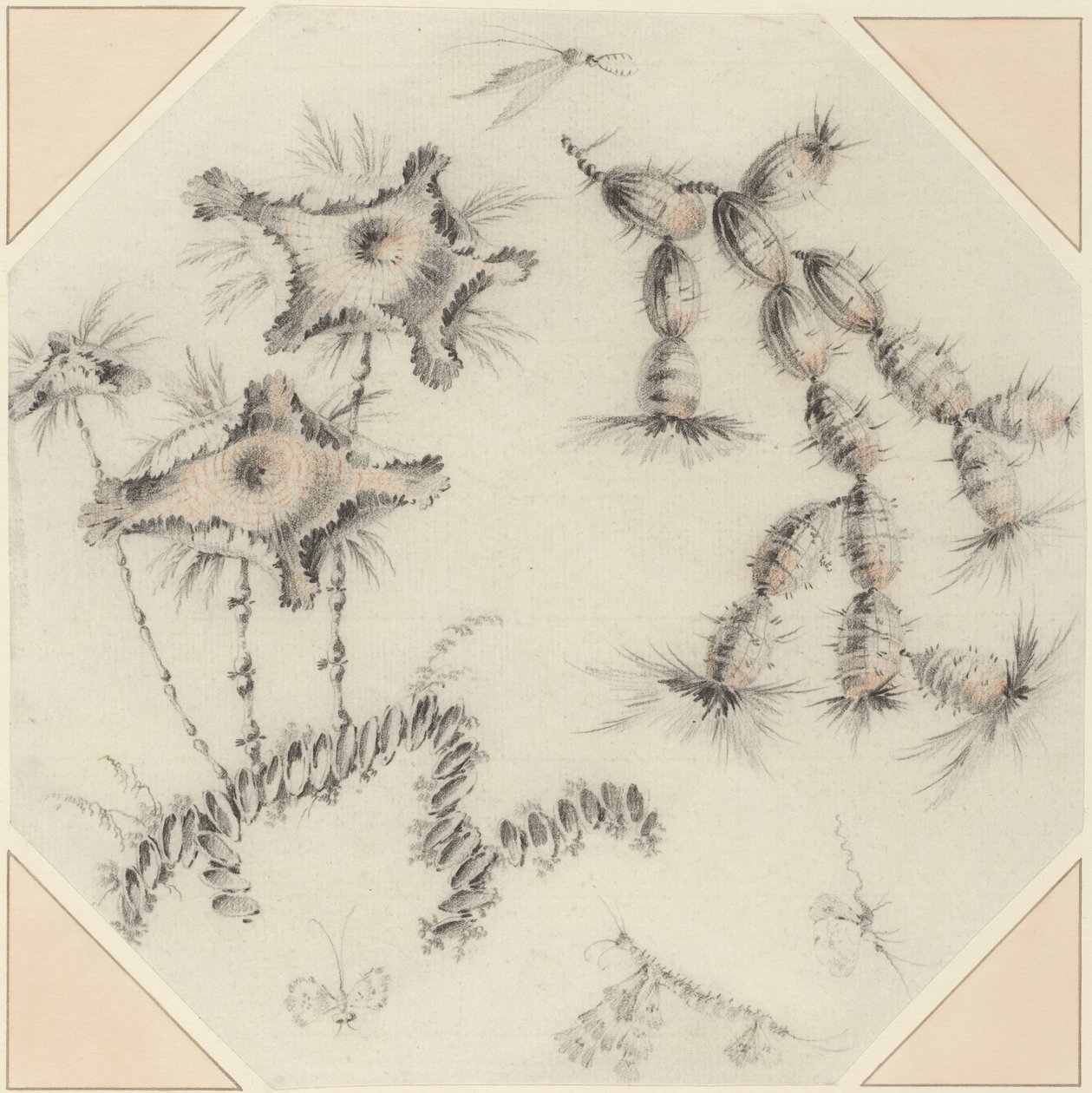 Bambusblüten und Kaktus von Jean Baptiste Pillement