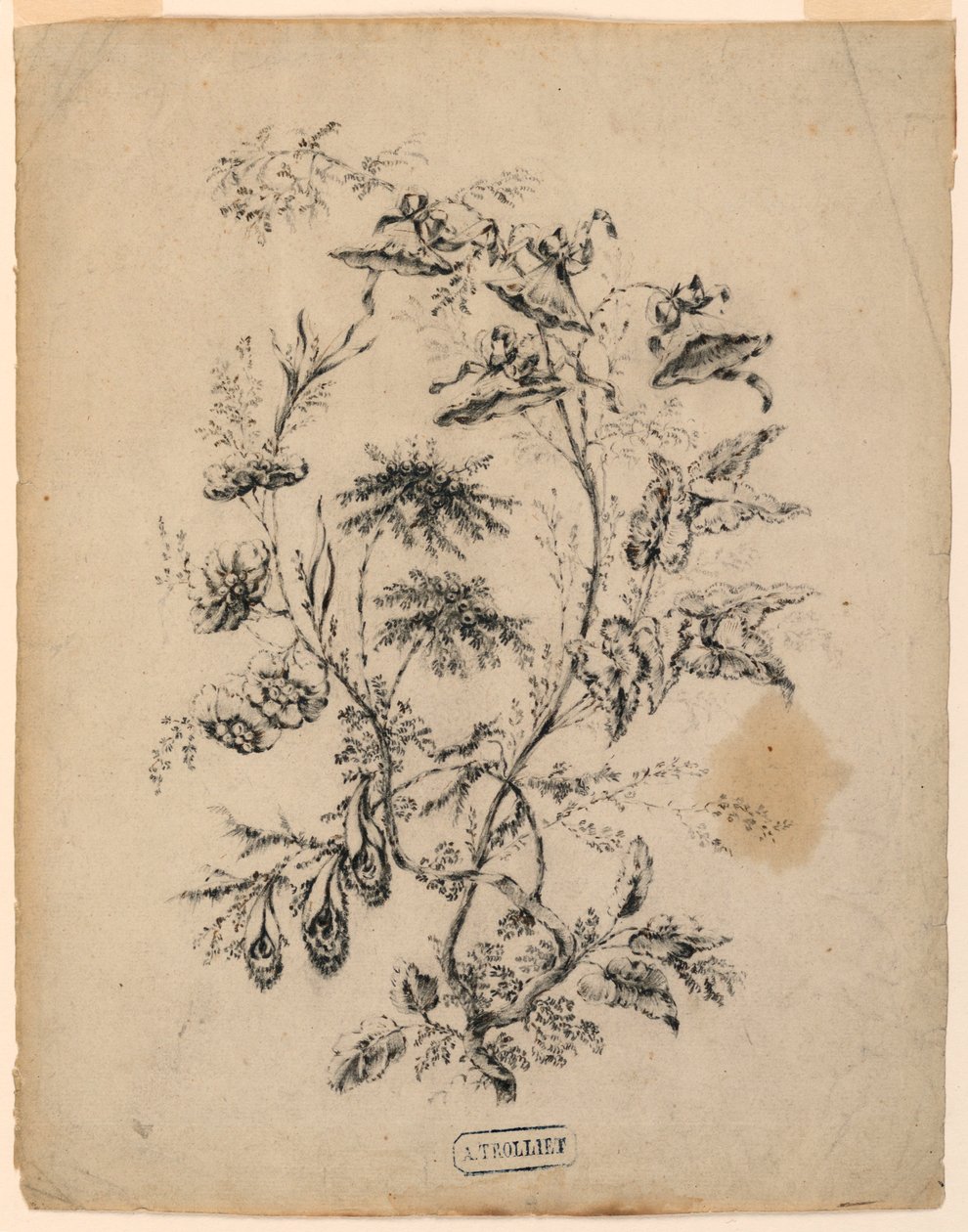 Zeichnung, Ast eines fantastischen Baumes, 1775–1800 von Jean Baptiste Pillement