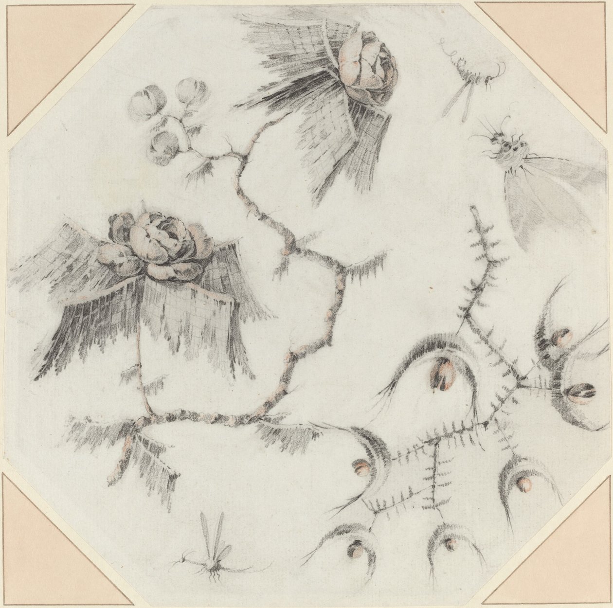 Fantasievolle Blumen und Käfer von Jean Baptiste Pillement