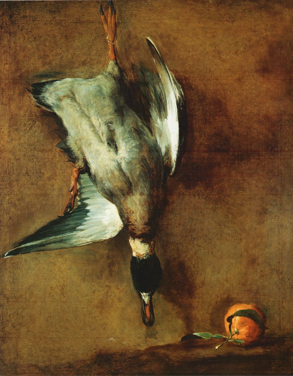 Eine an der Wand befestigte Stockente und eine Bitterorange von Jean Baptiste Simeon Chardin