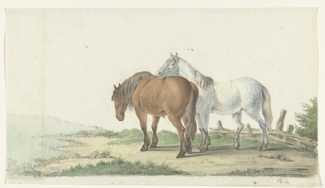 Ein braunes und weißes Pferd auf einem Weg neben einem Zaun von Jean Bernard