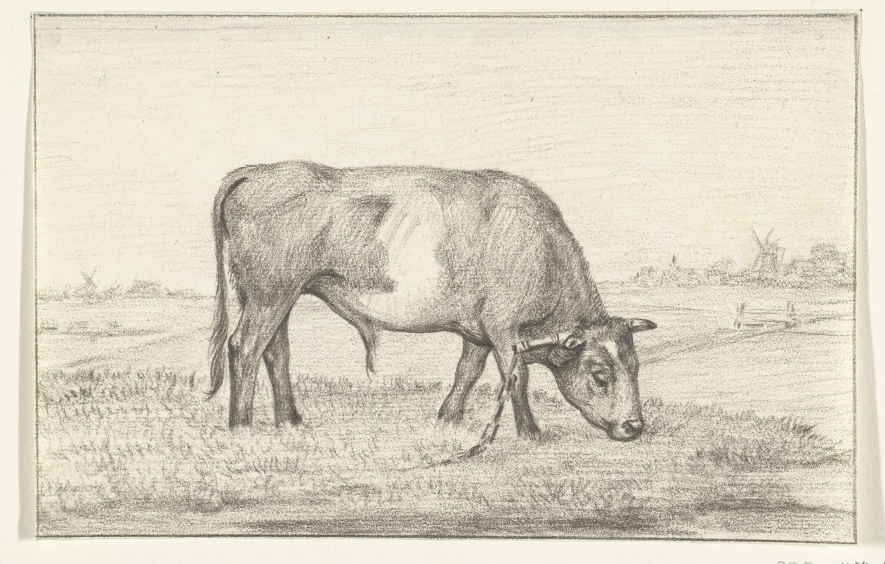 Weidender Stier auf einer Wiese, nach rechts von Jean Bernard