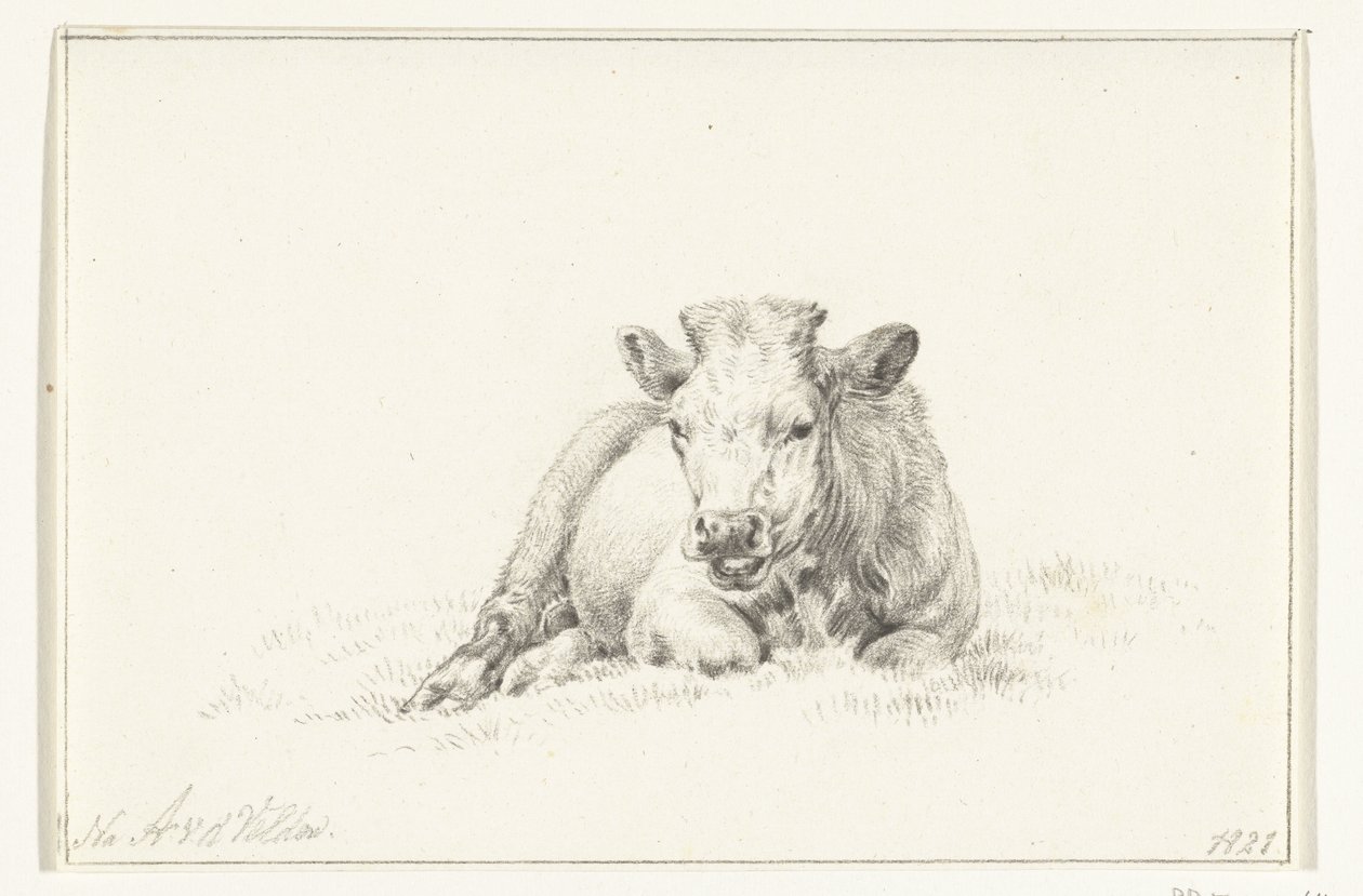 Liegende Kuh, von vorne von Jean Bernard