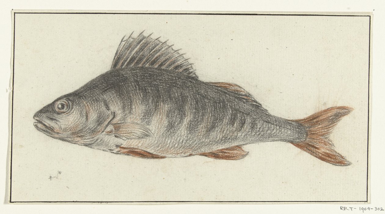 Fisch von Jean Bernard