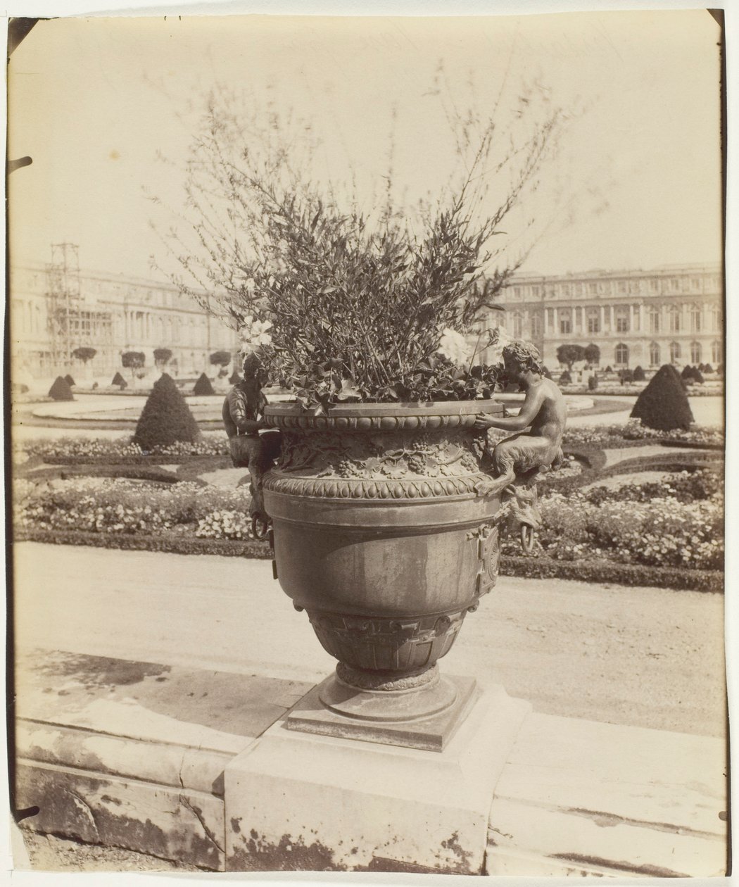 Versailles, Vase von Ballin von Jean Eugène Auguste Atget