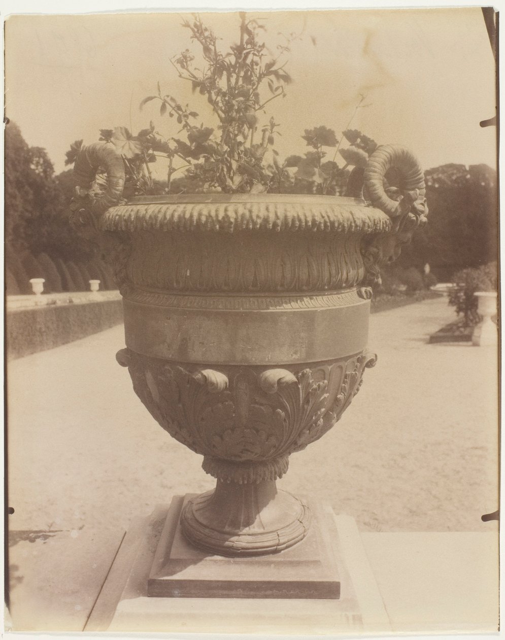 Versailles, Vase von Ballin von Jean Eugène Auguste Atget
