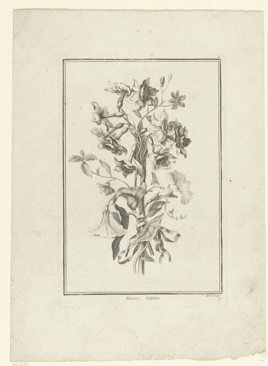 Blumenstrauß aus Narzissen und Winde (IIe Cahier de Bouquets) von Jean Jacques Avril (I)