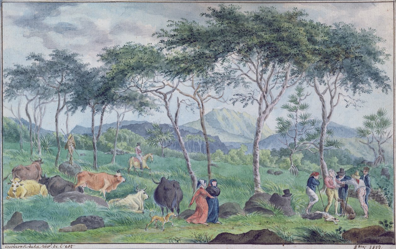 Rinderherde mit Kuhhirten in der Nähe des Flusses im Osten der Ile de la Reunion, Oktober 1812 von Jean Joseph Patu de Rosemont