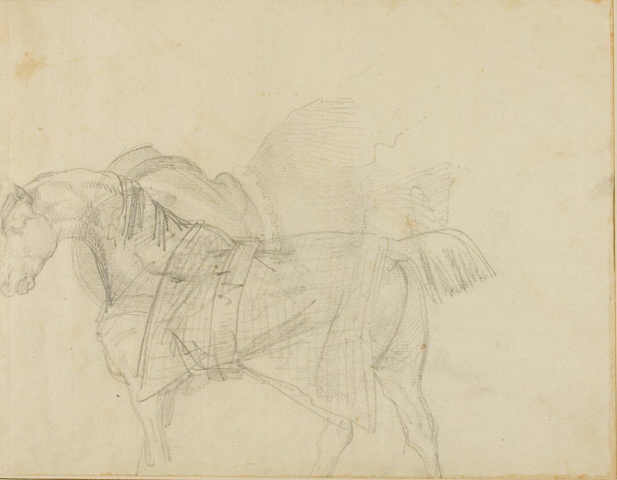 Pferd mit Decke von Jean Louis André Théodore Géricault