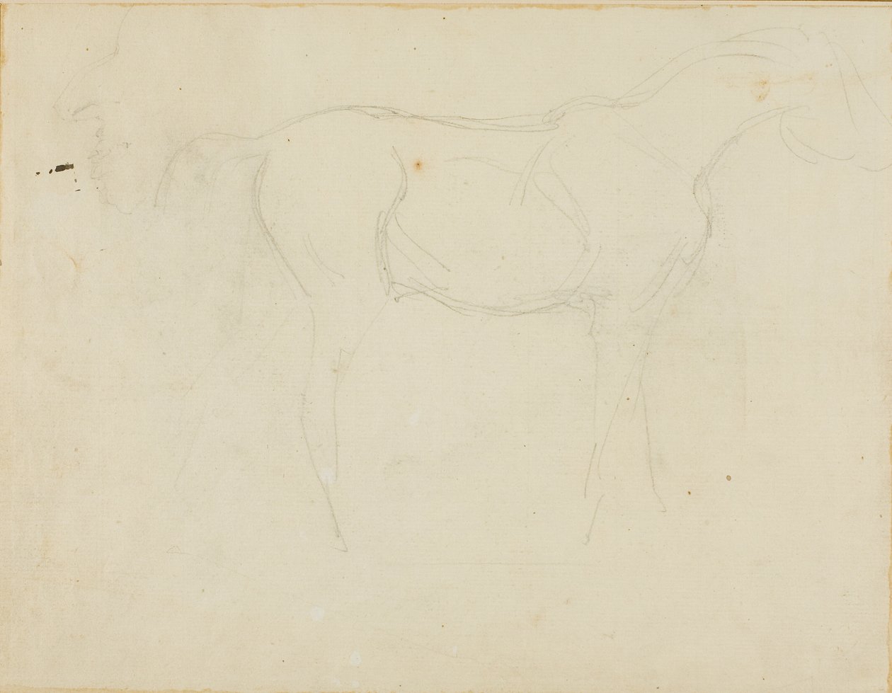Skizze eines nach rechts gerichteten Pferdes und einer Karikatur im Profil von Jean Louis André Théodore Géricault