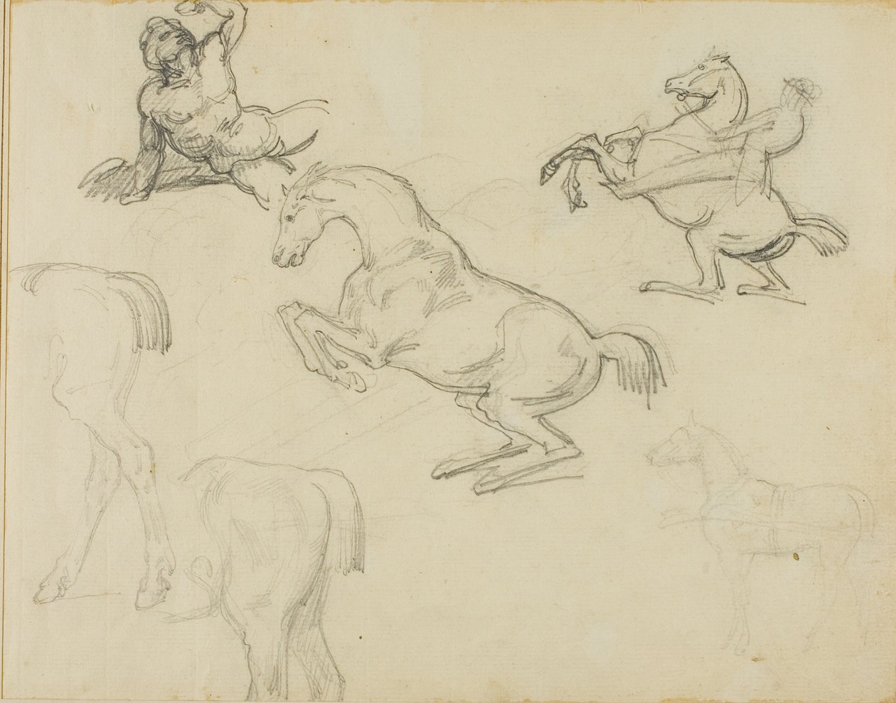 Skizzen: Liegender Akt, ein Reiter und verschiedene Pferde von Jean Louis André Théodore Géricault
