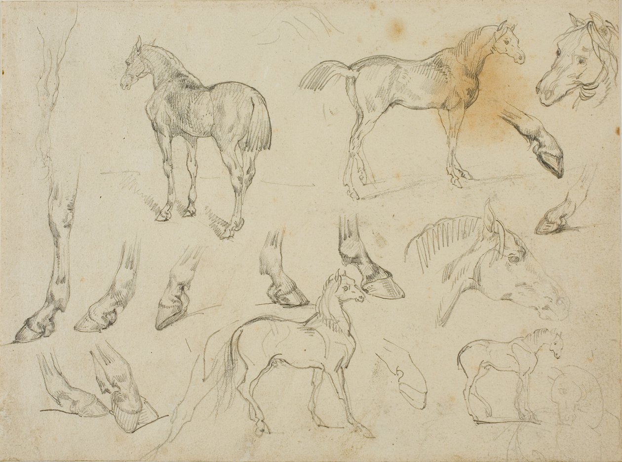 Skizzen eines Pferdes von Jean Louis André Théodore Géricault