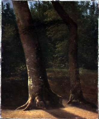 Studie von Bäumen, ca. 1815 von Jean Victor (attr. to) Bertin