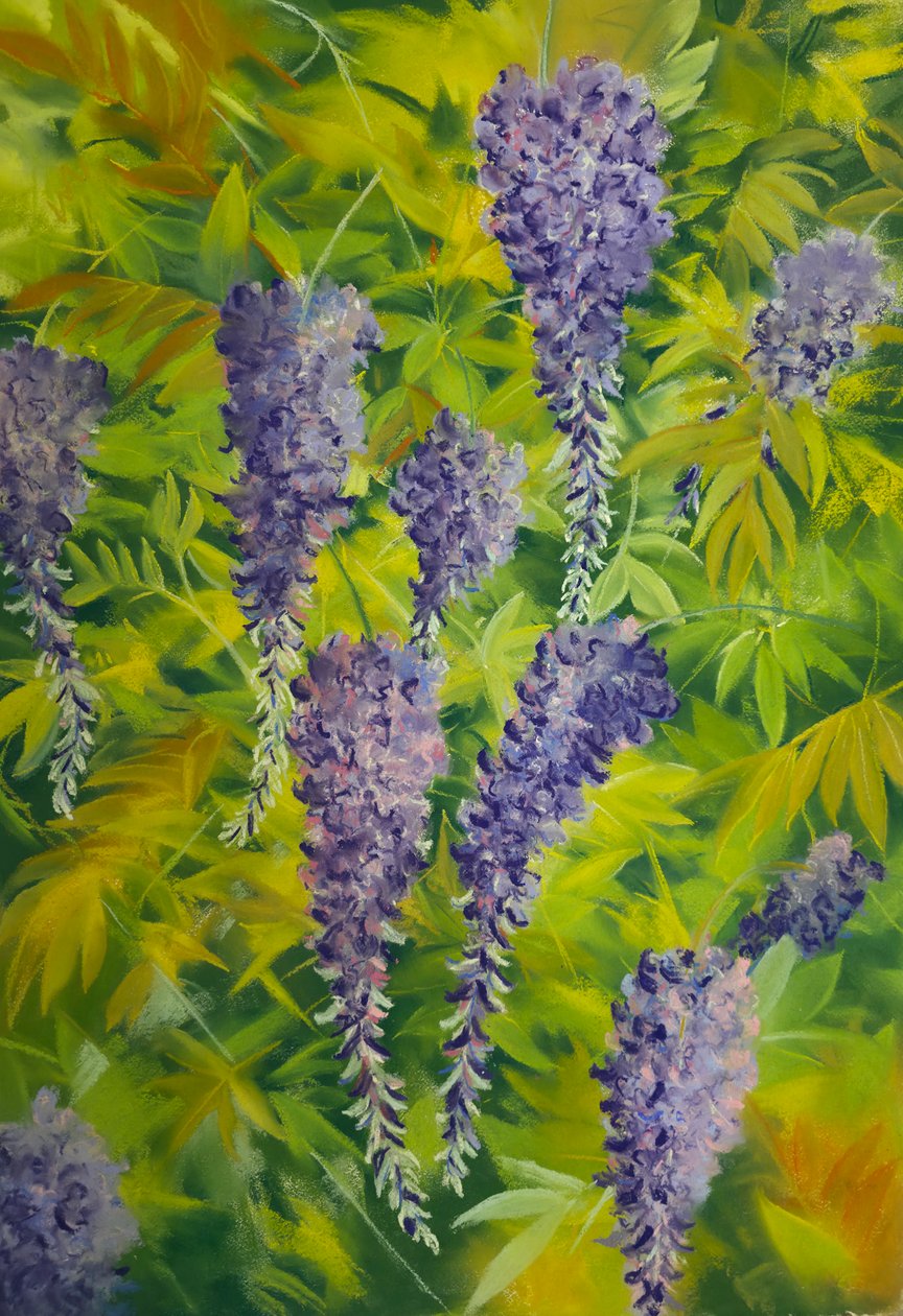 Wisteria-Blüten & Laub 2, 2023 von Jeanne Maze