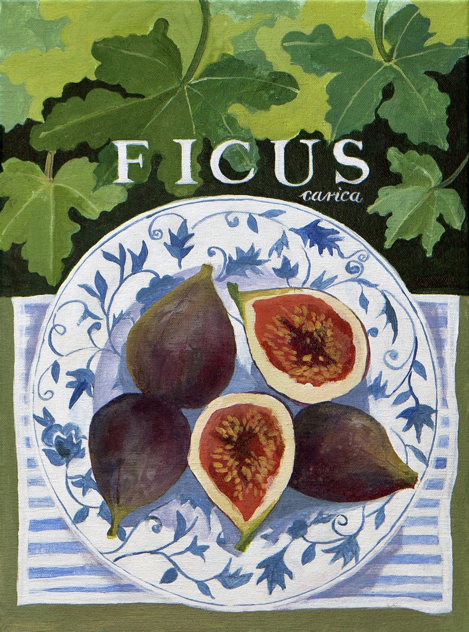 Feigen (Fieus), 2014 von Jennifer Abbott