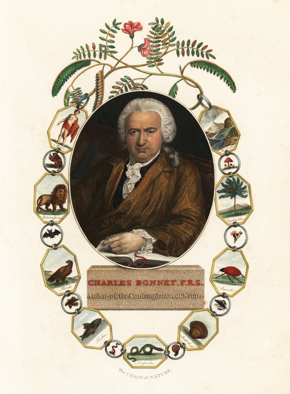 Porträt von Charles Bonnet, Genfer Naturforscher von Jens Juel