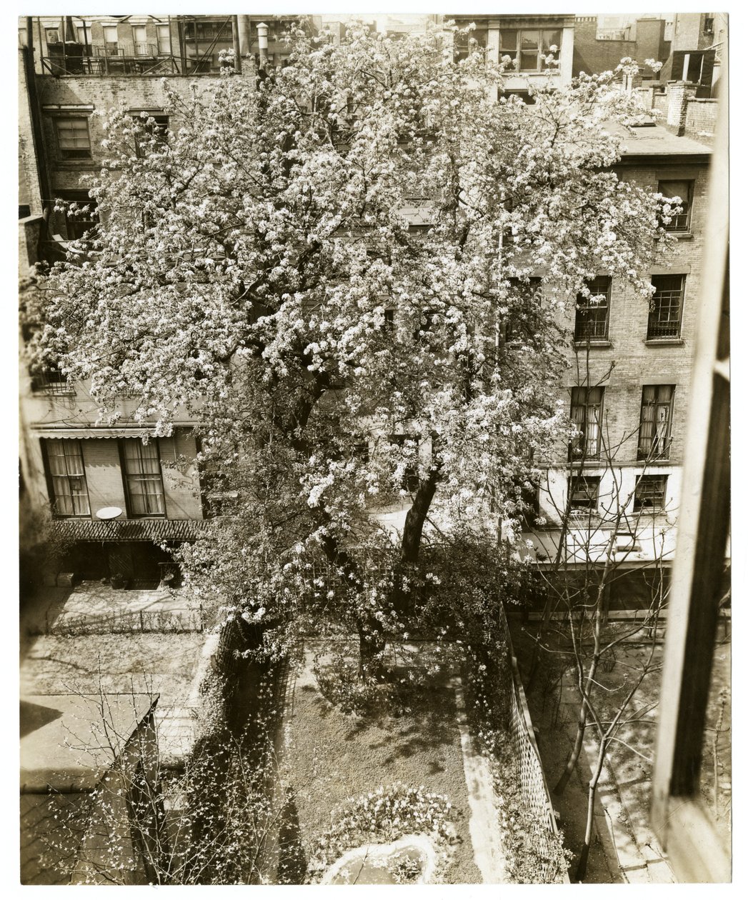 Mrs. W H Wells, 265 W 11th von Jessie Tarbox Beals