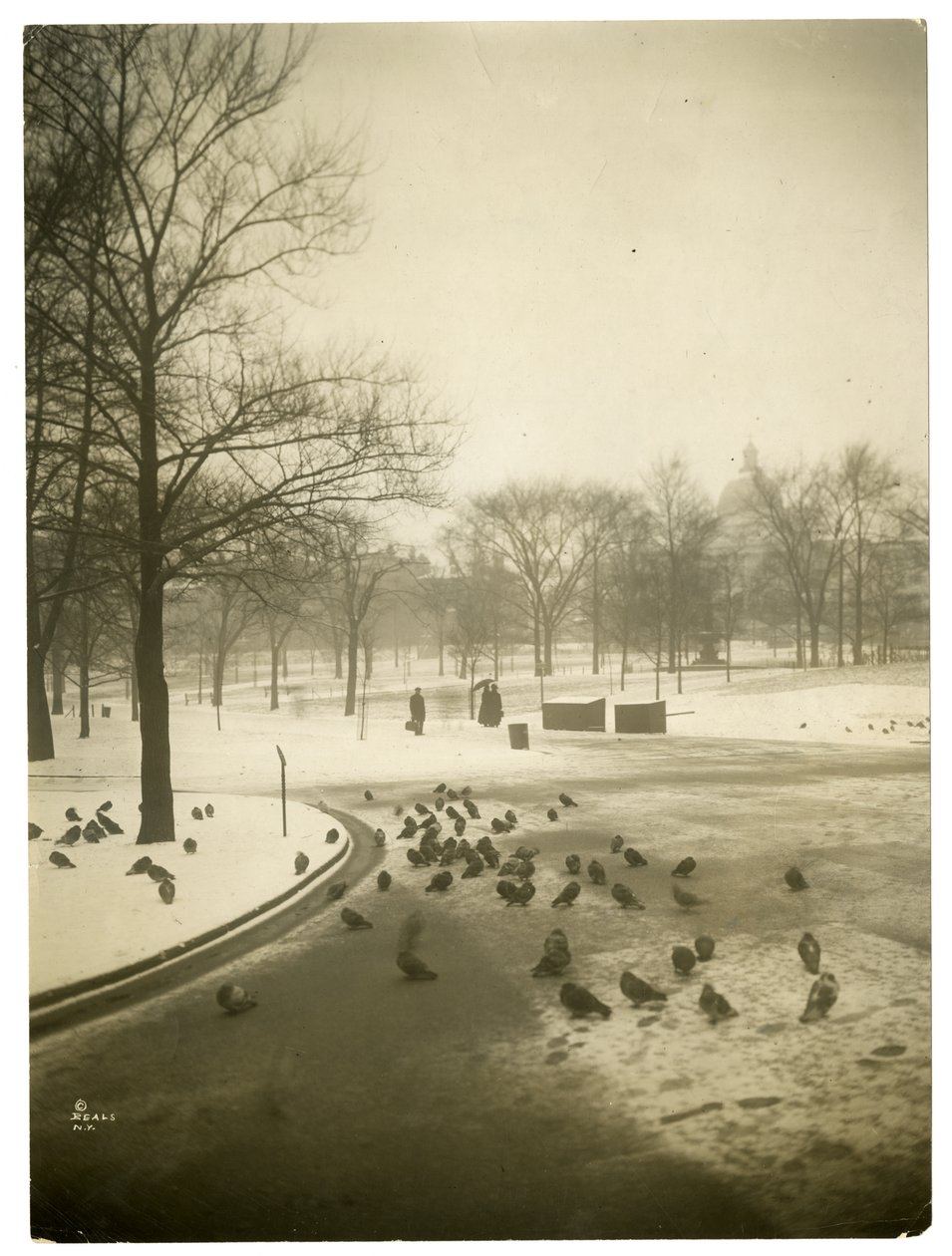 Ungewöhnlich kalt im Common, Boston, USA, ca. 1902-10 von Jessie Tarbox Beals