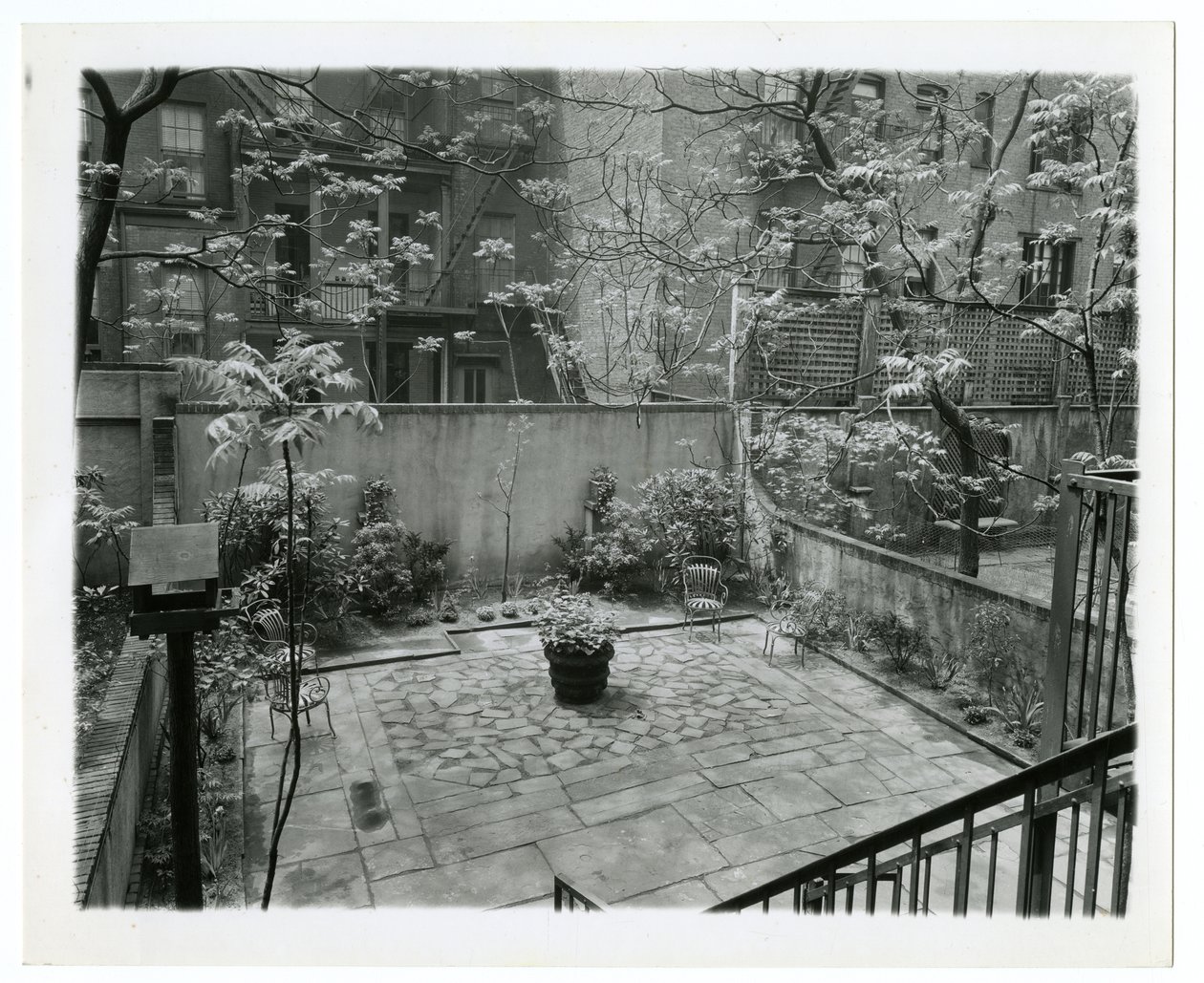 Hinterhof mit Vogelhaus, New York, USA, ca. 1905-40 von Jessie Tarbox Beals