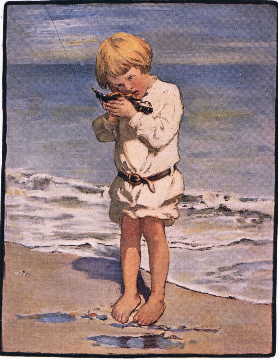 Billys Entdeckung war eine Möwe mit einem verletzten Flügel von Jessie Willcox Smith