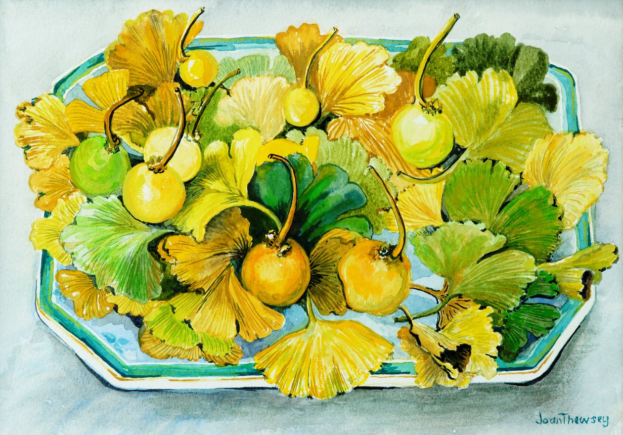 Ginkgo, Früchte und Blätter von Joan Thewsey