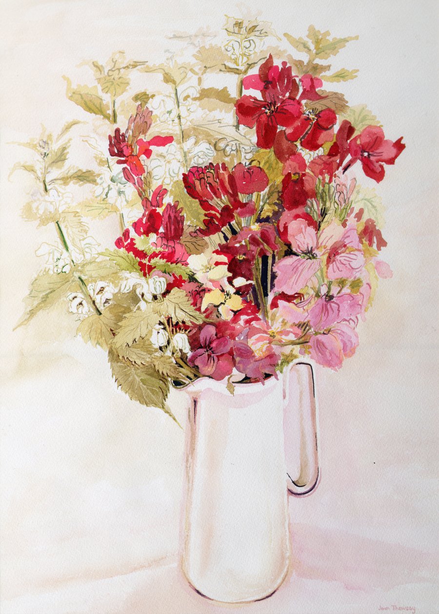 Stillleben mit Taubnesseln und Goldlack (Aquarell auf Papier) von Joan Thewsey