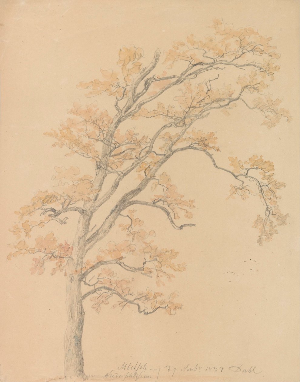 Eiche mit Herbstlaub, Milicz von Johan Christian Dahl