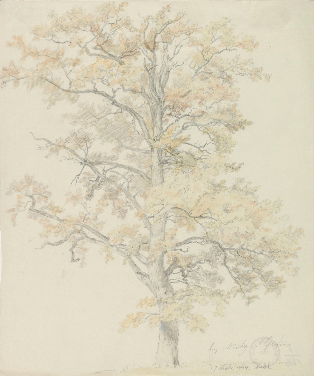 Eiche mit Herbstlaub, Milicz von Johan Christian Dahl