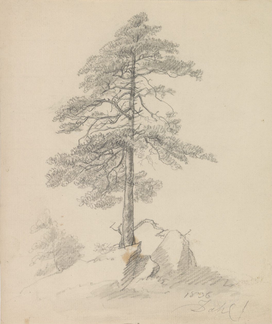 Kiefer und Klippen von Johan Christian Dahl