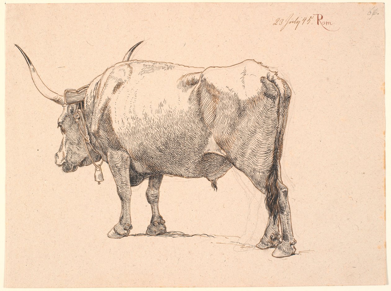 Römischer Stier mit Glocke um den Hals, schräg von hinten gesehen von Johan Thomas Lundbye