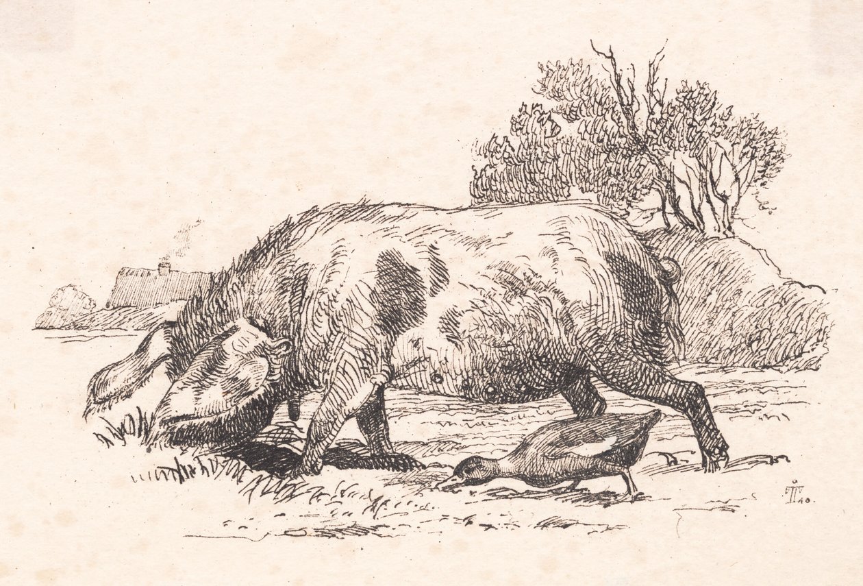 Das Schwein und die Ente von Johan Thomas Lundbye
