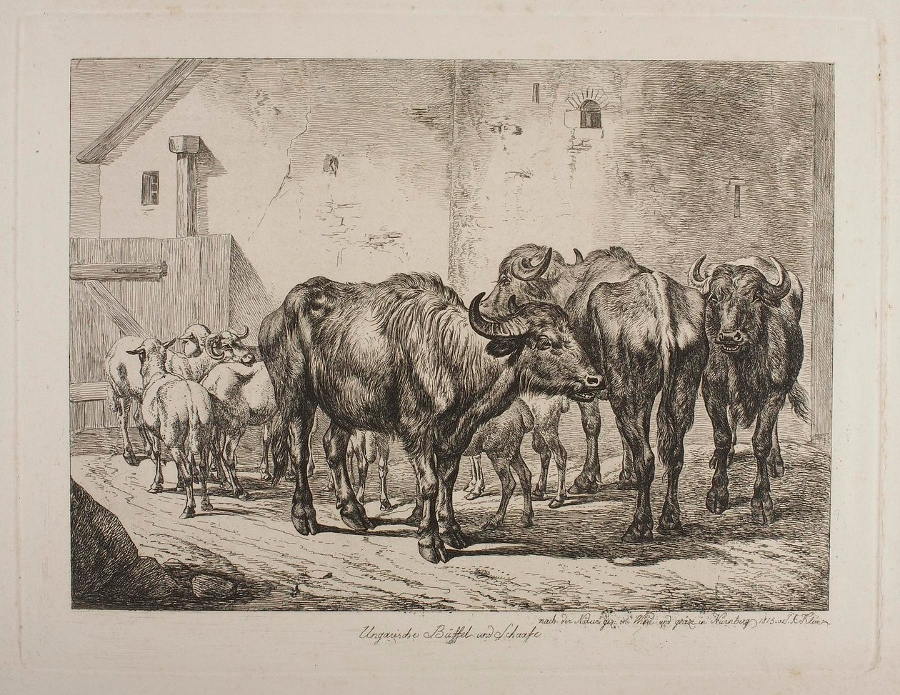 Ungarische Büffel und Schafe von Johann Adam Klein