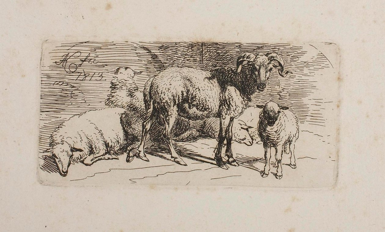 Widder, drei Schafe und ein Lamm von Johann Adam Klein