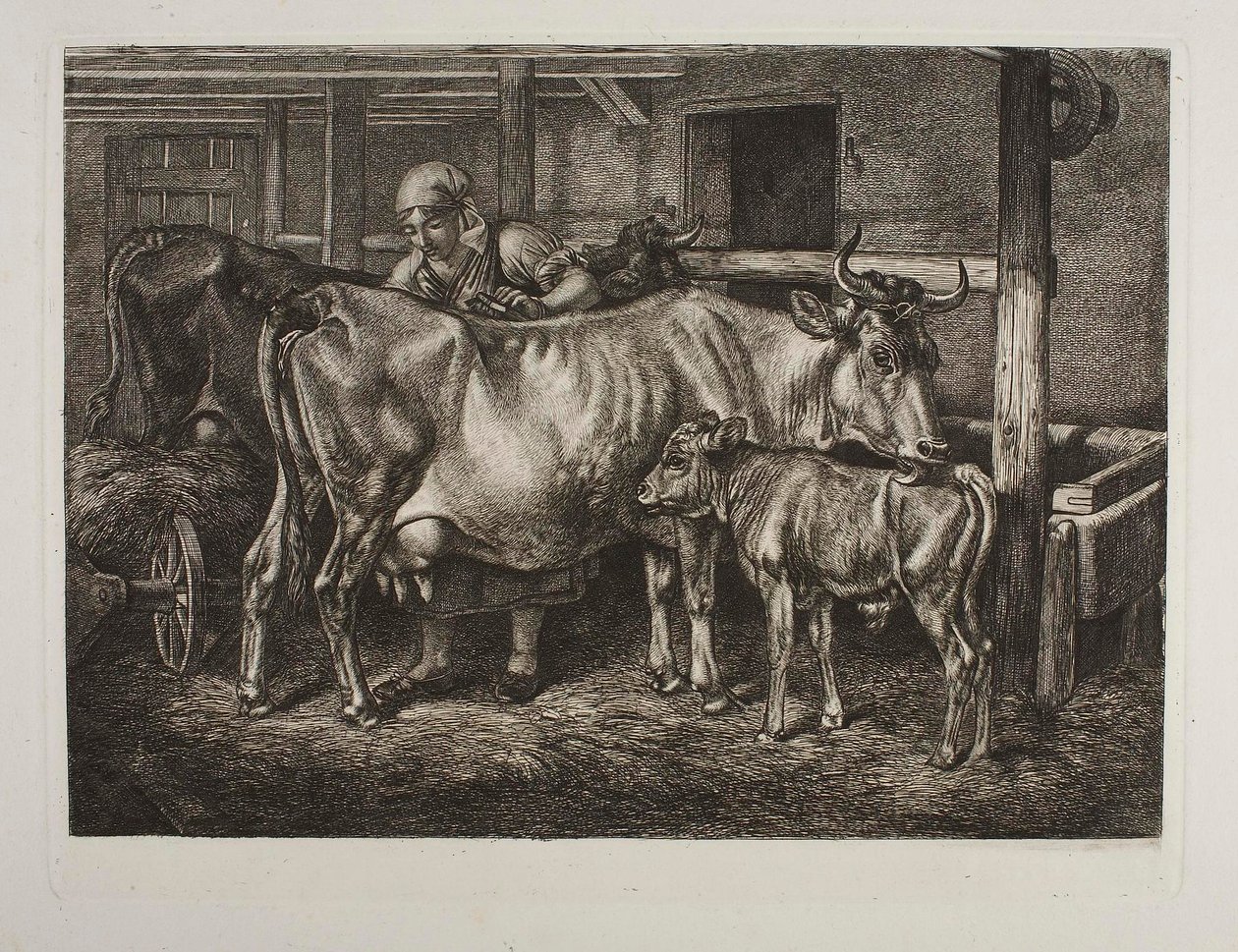 Die Kühe werden gepflegt von Johann Adam Klein